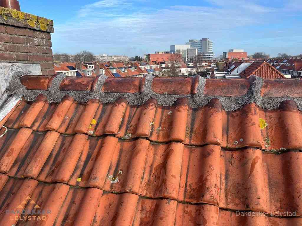 Lelystad Daken Renoveren Lelystad Daken Renoveren