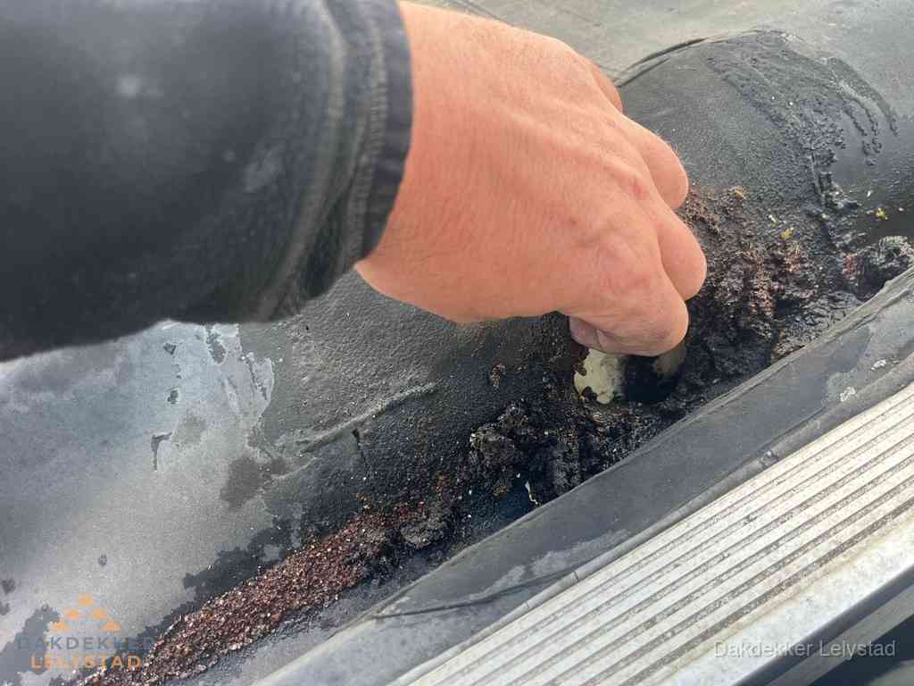 Plat Dak Reparatie Lelystad Plat Dak Reparatie Lelystad